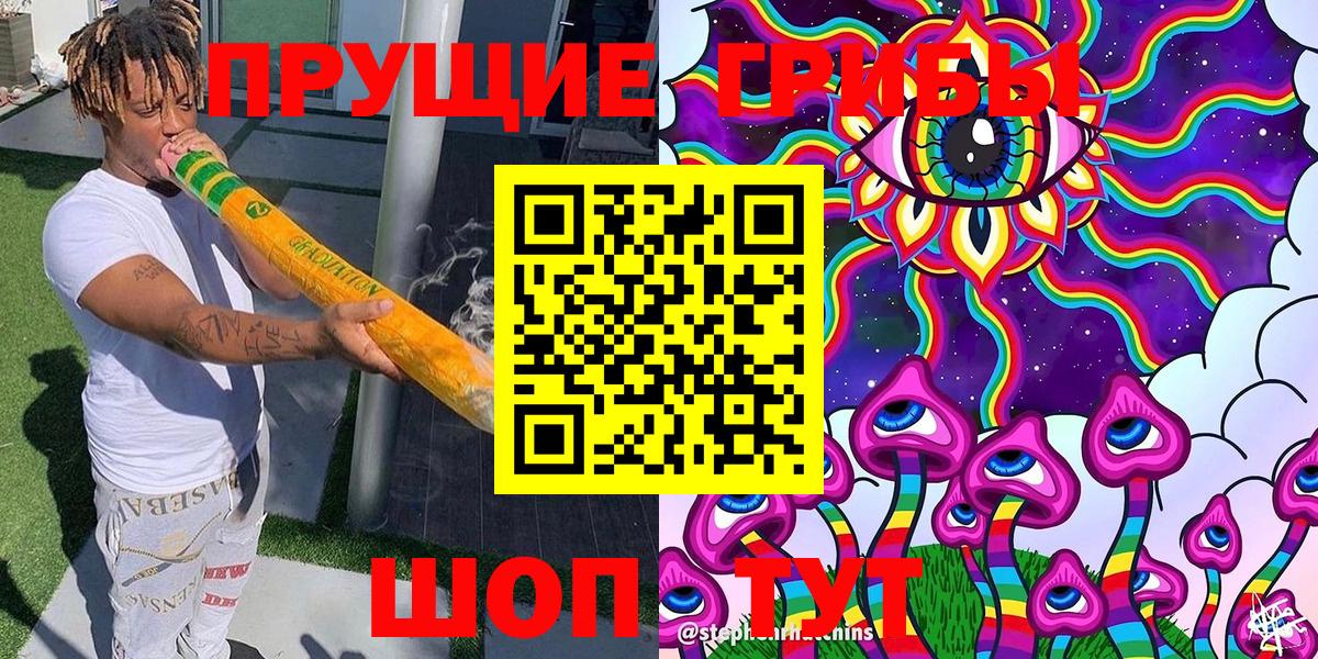 Галлюциногенные грибы Psilocybe Карталы