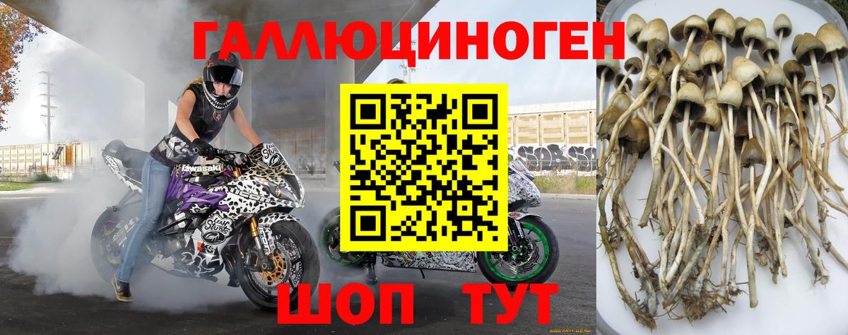 Галлюциногенные грибы GOLDEN TEACHER  купить наркоту  Карталы  Вход с VPN  Псилоцибиновые грибы мухоморы 